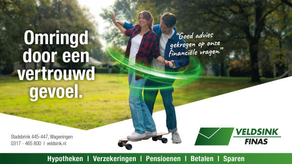 Veldsink-Finas_WHY_beeldschermadvertentie-1920x1080